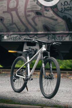 Nukeproof Scout 29 