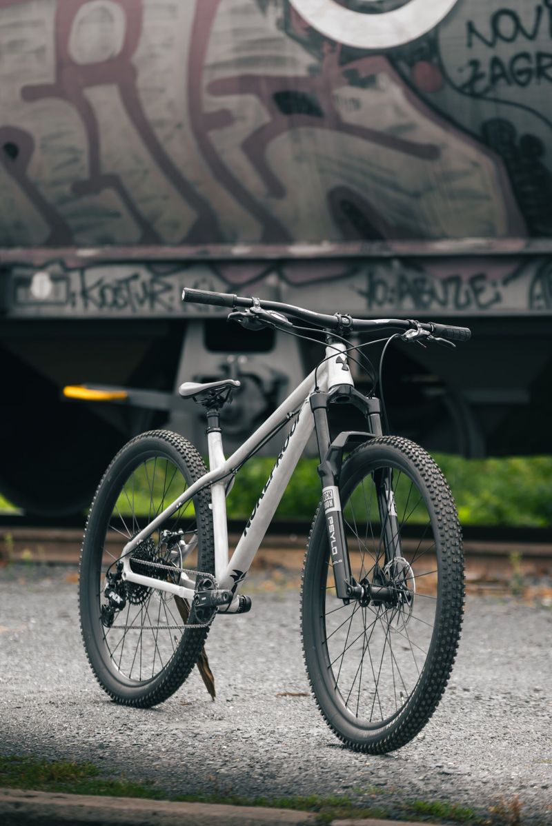 Nukeproof Scout 29 