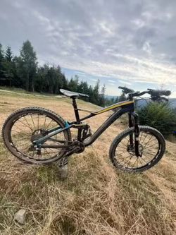 Radin slide carbon
