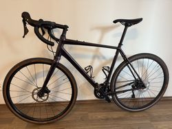 Cannondale Topstone 2 - Rainbow Trout