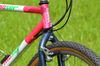 MTB MOSER 1990 - RARITA
