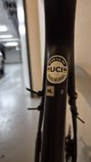 Giant TCR 