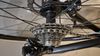 Giant TCR 