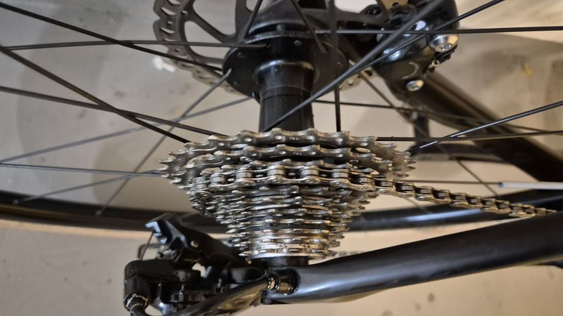 Giant TCR 