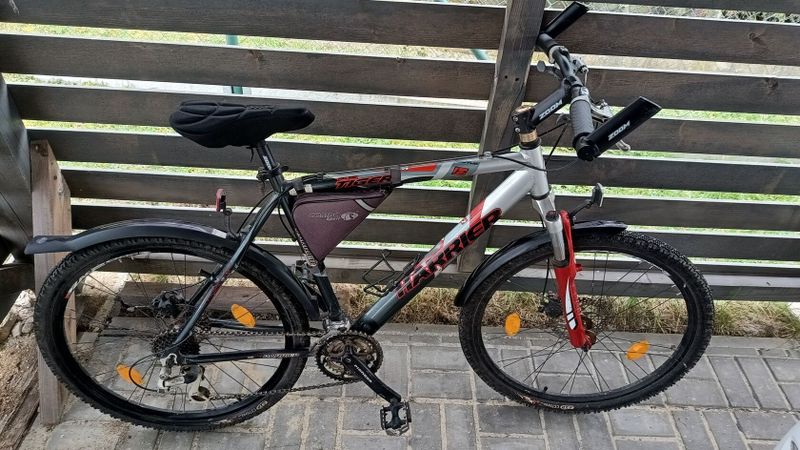 Kolo Tiger disc - 26'' - XL