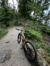 Specialized Stumpjumer EVO Comp 2023