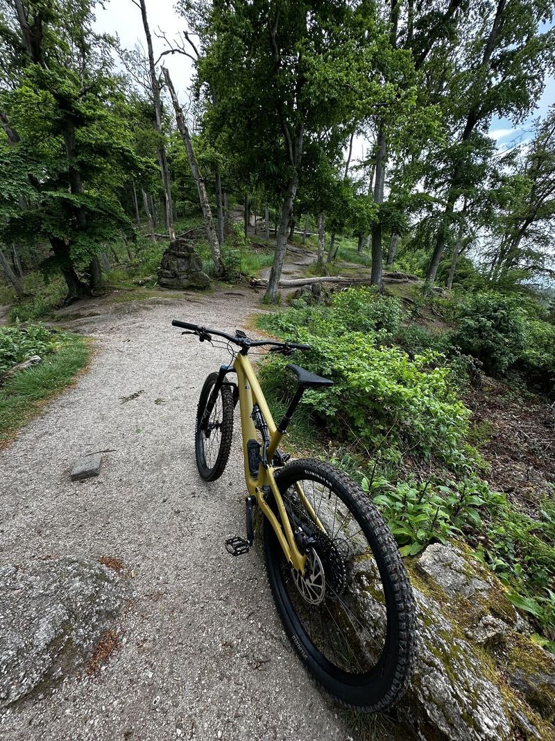 Specialized Stumpjumer EVO Comp 2023