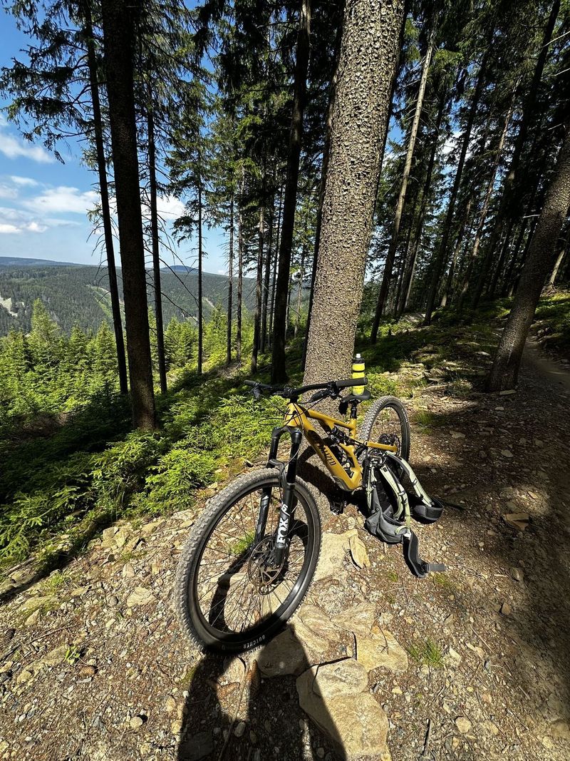 Specialized Stumpjumer EVO Comp 2023