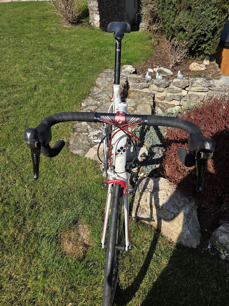 Colnago