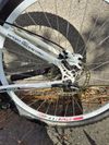 Horske kolo MTB 