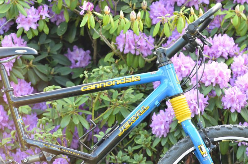 Cannondale Jekyll 500 / rok výroby 2007