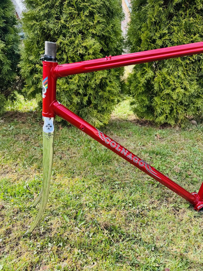 Colnago Esa Mexico