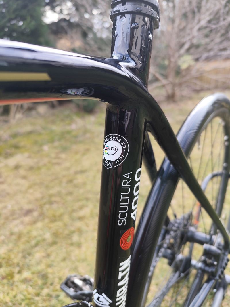 Merida scultura 4000
