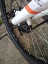  Rockrider st 120 