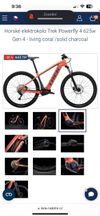 Trek powerfly 4