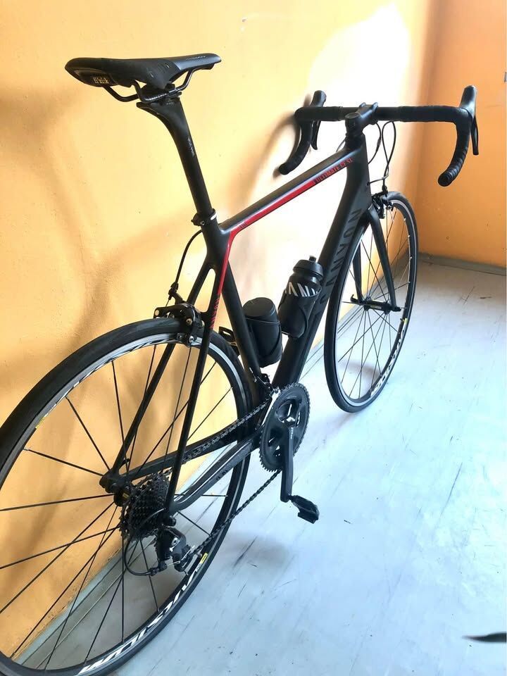 Canyon CF SL 