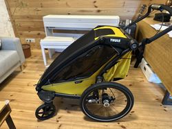 Thule Chariot Sport 1