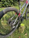 CTM ZEPHYR 2019
