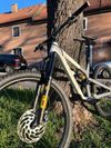 Canyon Spectral 29 Fabio Wibmer