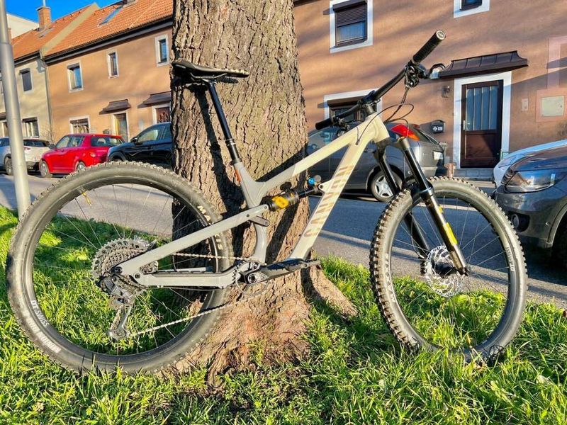Canyon Spectral 29 Fabio Wibmer