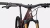Specialized Stumpjumper Pro, Rusted, T-type XO, vel.S3 (165cm-180cm) PC 215000Kč
