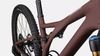 Specialized Stumpjumper Pro, Rusted, T-type XO, vel.S3 (165cm-180cm) PC 215000Kč