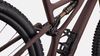 Specialized Stumpjumper Pro, Rusted, T-type XO, vel.S3 (165cm-180cm) PC 215000Kč