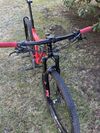 Orbea Oiz