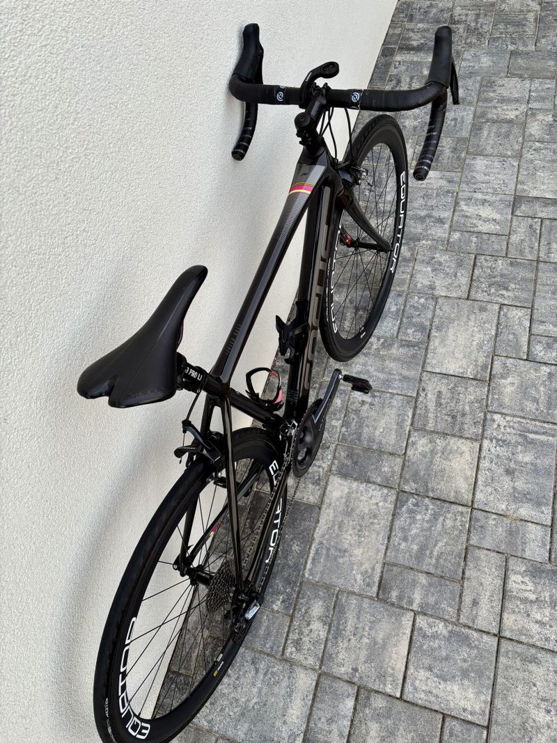 FOCUS IZALCO RACE TOP STAV