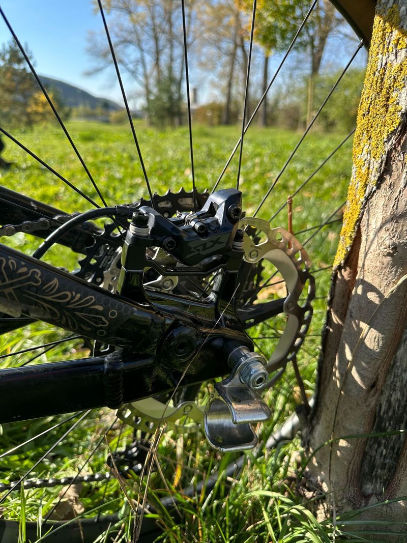 Marin Alpine Trail E2