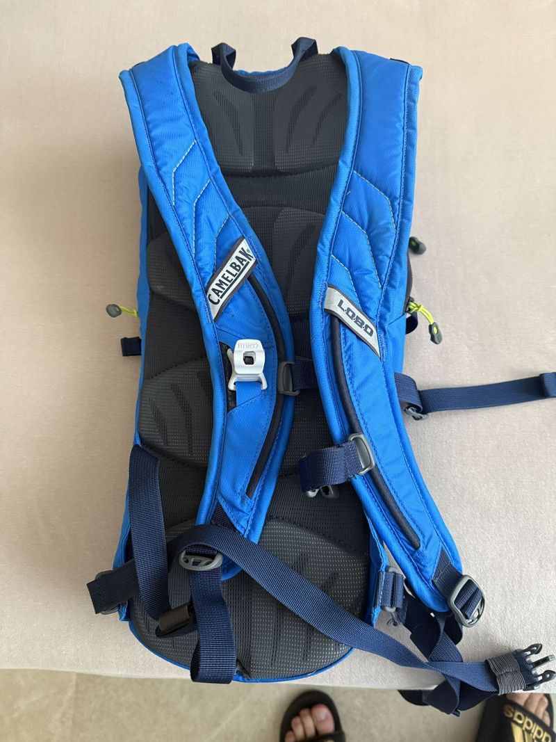 Camelback Lobo