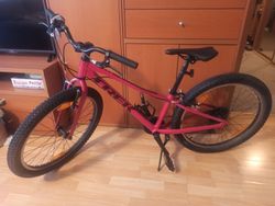 2020 Trek Alpha Silber Aluminium - Precaliberb24