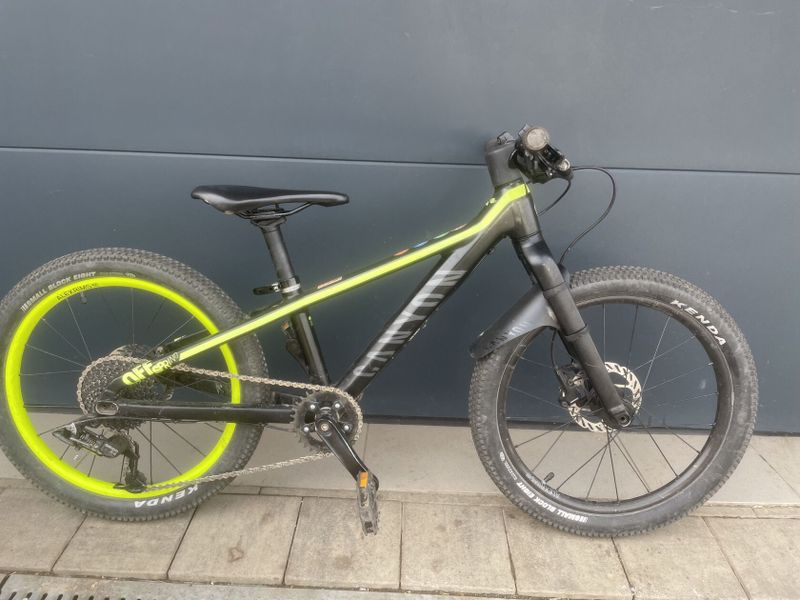 Canyon Offspring 20