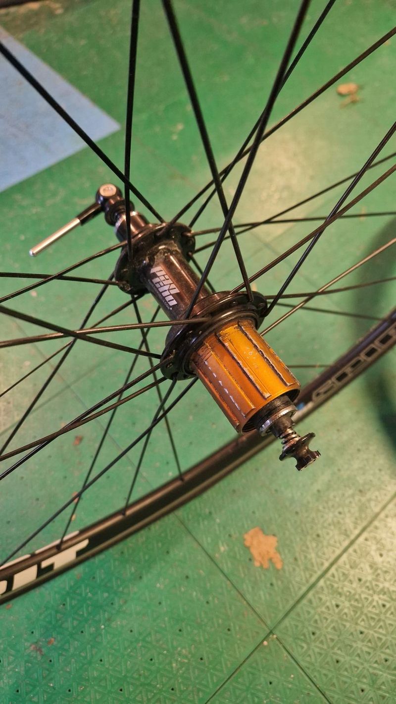 Pancho Wheels Spirit 28
