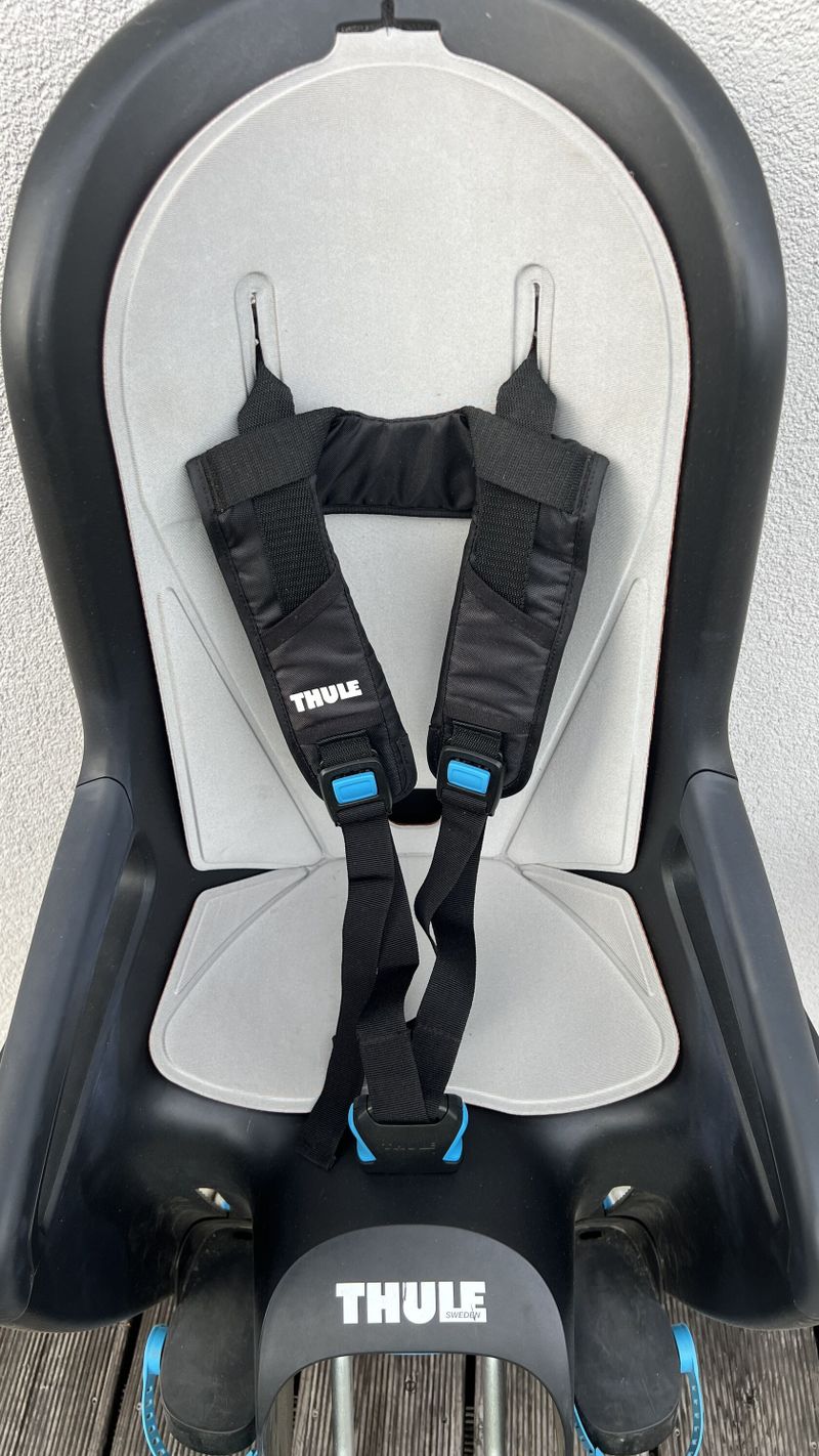 Thule RideAlong