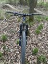 CTM DIRTKING CUSTOM