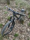 CTM DIRTKING CUSTOM
