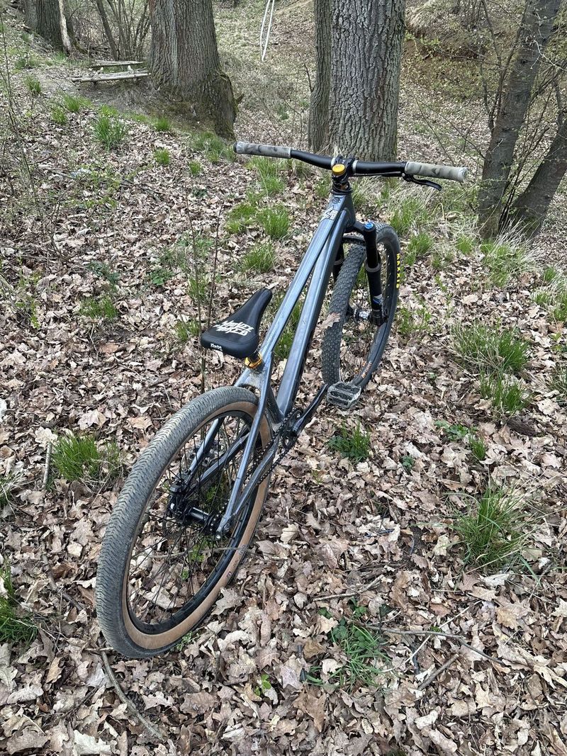 CTM DIRTKING CUSTOM
