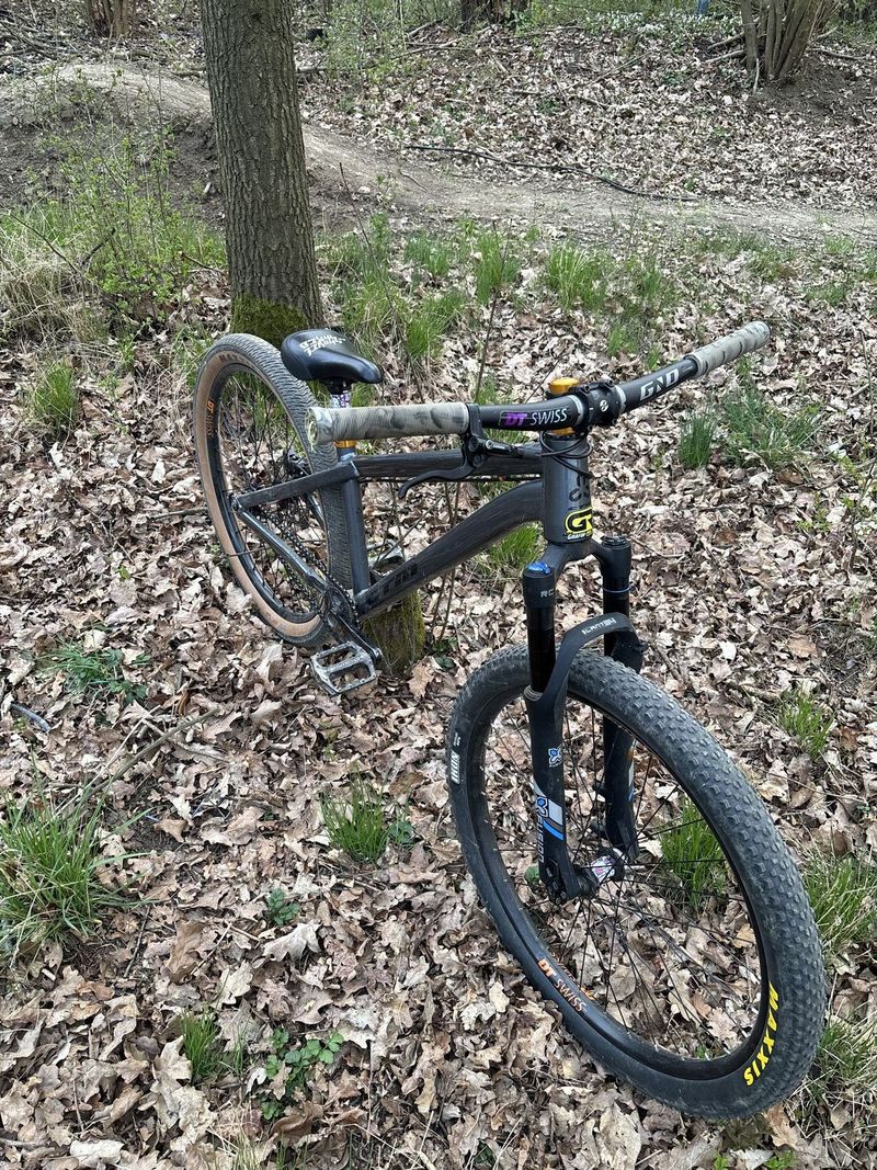 CTM DIRTKING CUSTOM