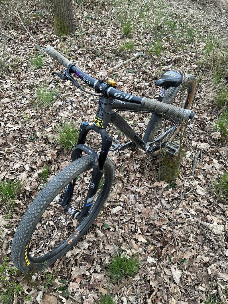 CTM DIRTKING CUSTOM