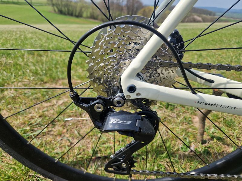 Trek Emonda ALR 5 Palmares Edition