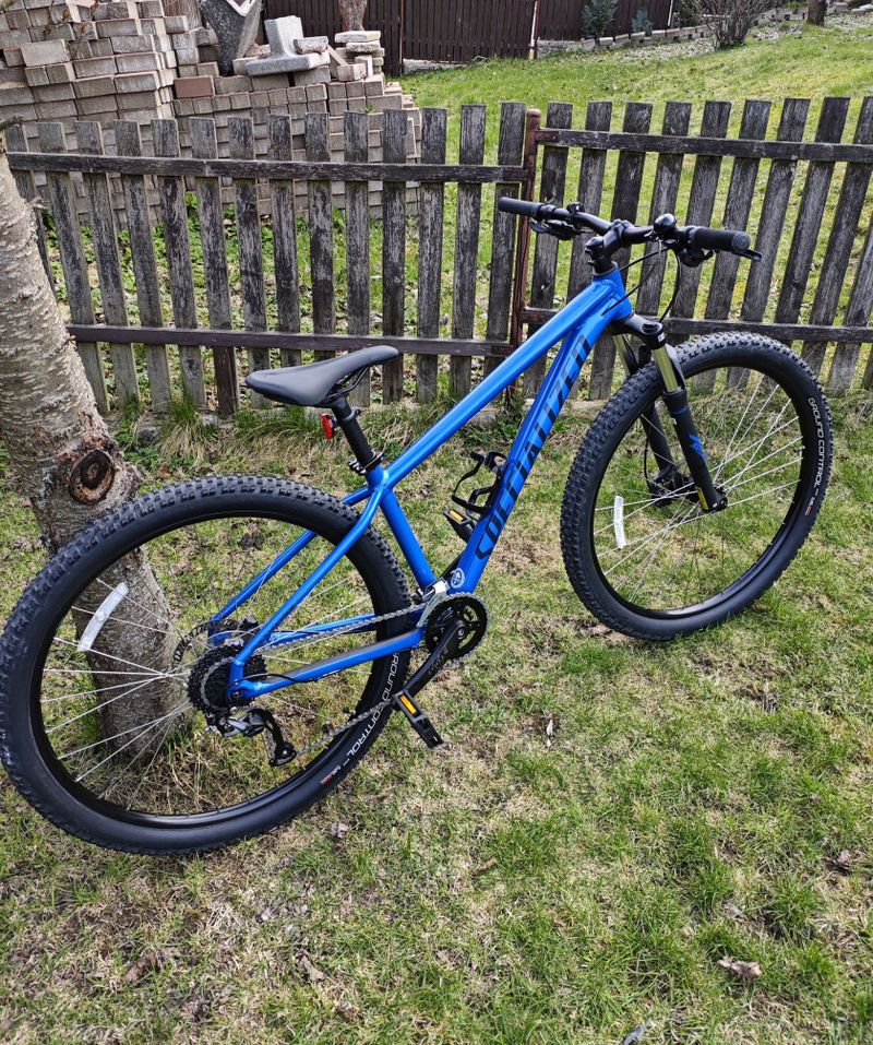 Specialized Rockhopper 29