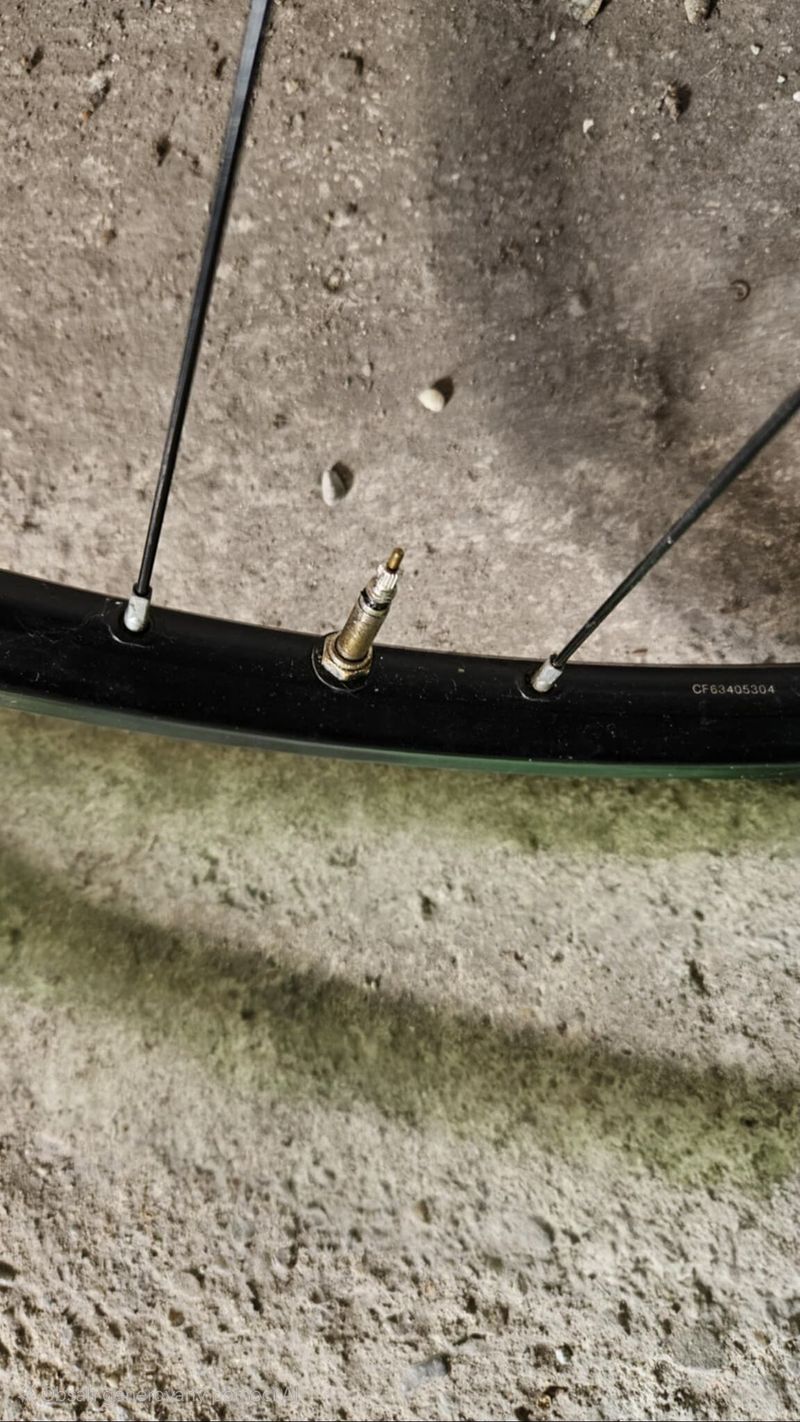 Kola mavic