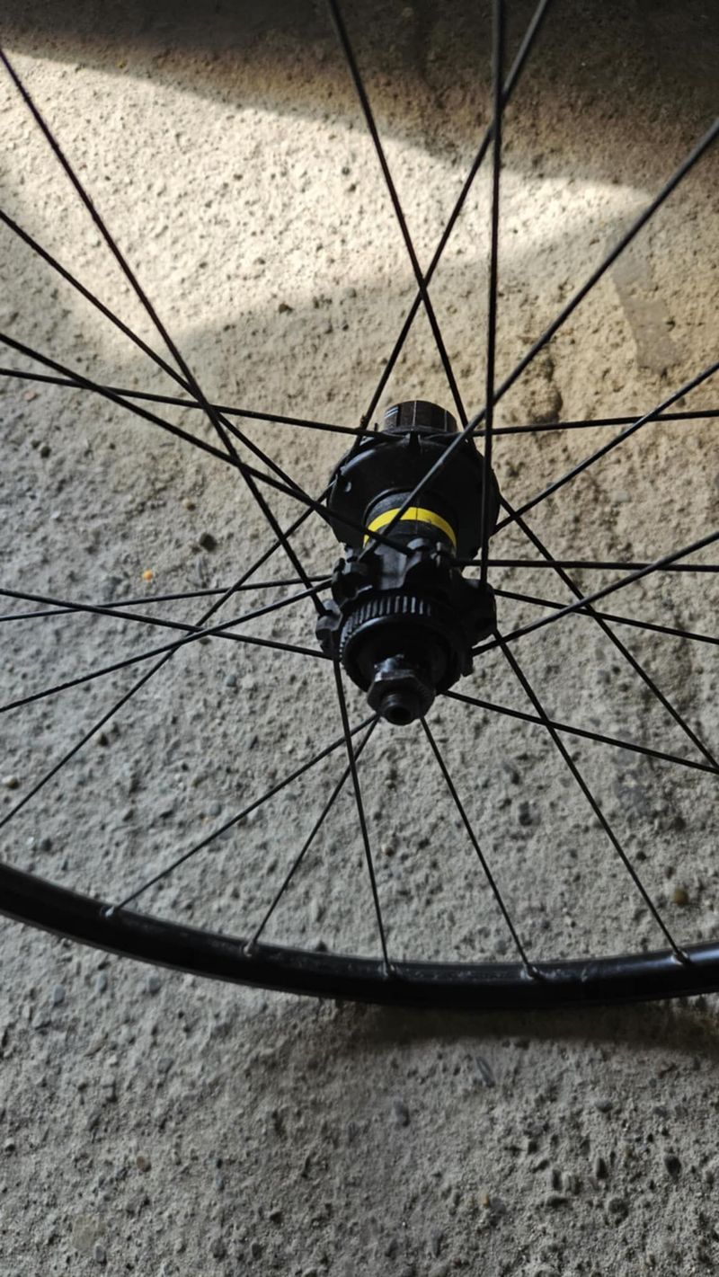 Kola mavic