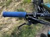 Canyon Torque Mullet CF 8