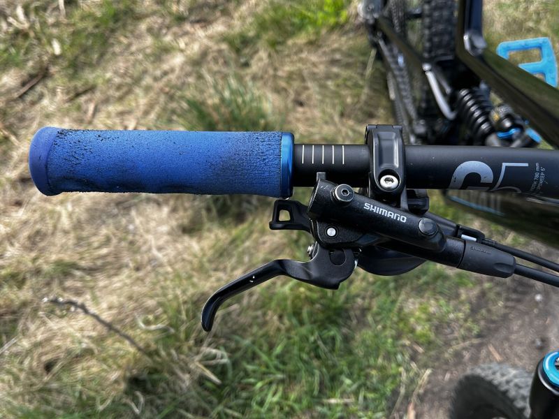 Canyon Torque Mullet CF 8