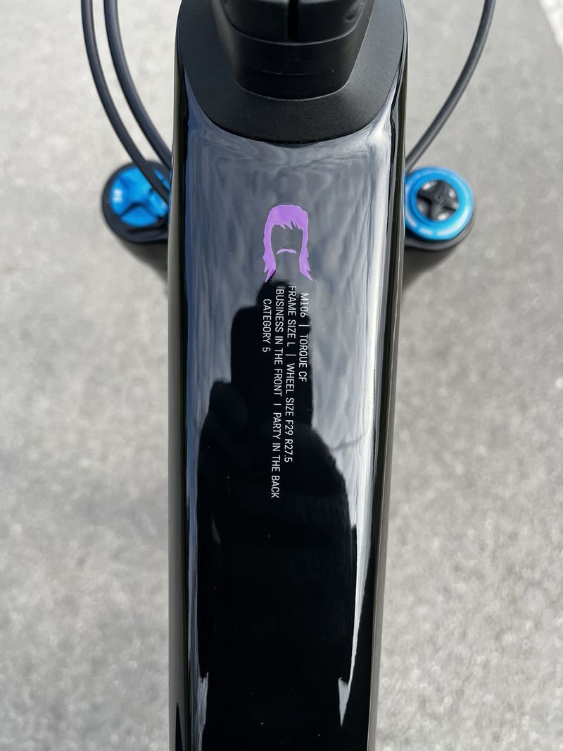 Canyon Torque Mullet CF 8
