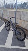 Yt capra 2019