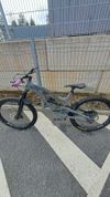 Yt capra 2019