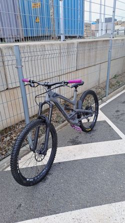 Yt capra 2019